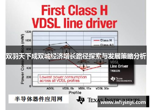 双羽天下成双城经济增长路径探索与发展策略分析