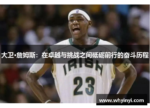 大卫·詹姆斯：在卓越与挑战之间砥砺前行的奋斗历程